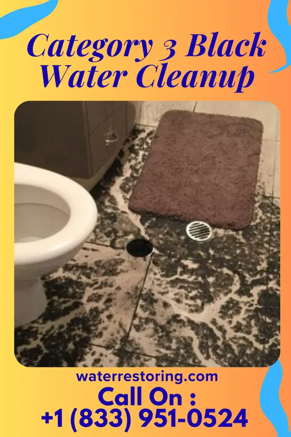 Category 3 Black Water Cleanup in Vermontville, MI