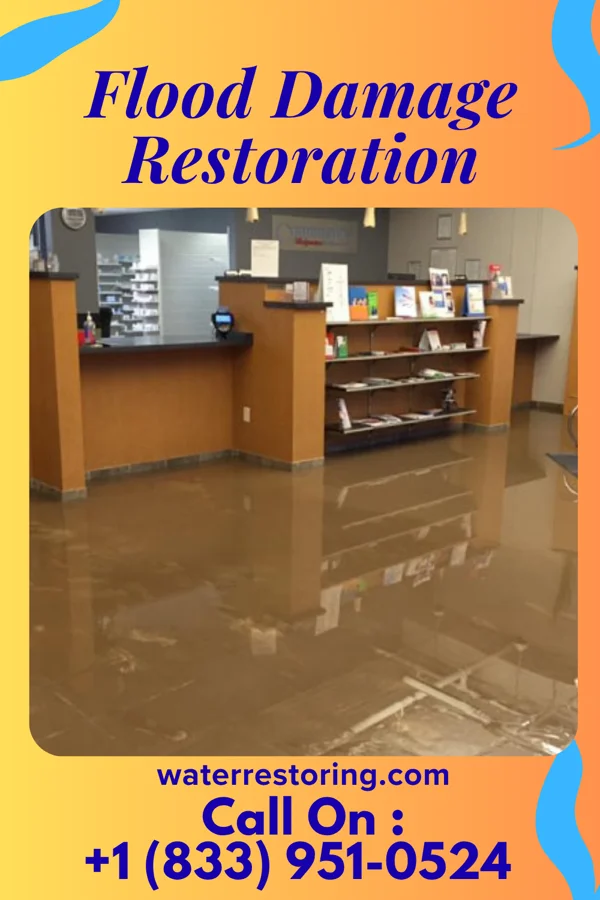 Flood Damage Restoration in Vermontville, MI