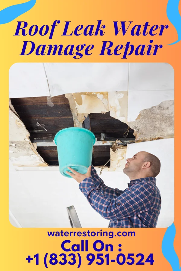Roof Leak Water Damage Repair in Vermontville, MI