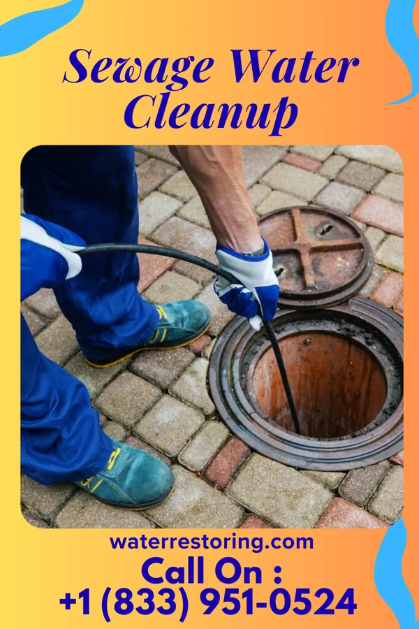 Sewage Water Cleanup in Vermontville, MI