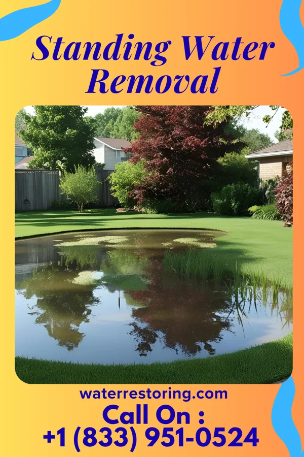 Standing Water Removal in Vermontville, MI